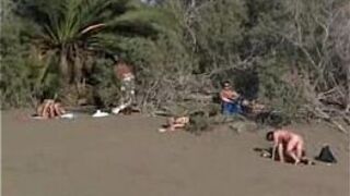 Public Sex at the Beach - porn video