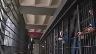 belladonna jail gangbang - porn video