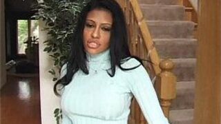 Wild Hunnies - porn video