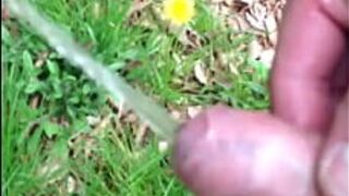 Big desire in the forest - porn video