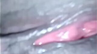 fat black pussy - porn video