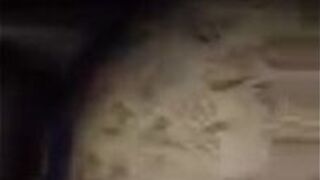 Juicy and thick - porn video